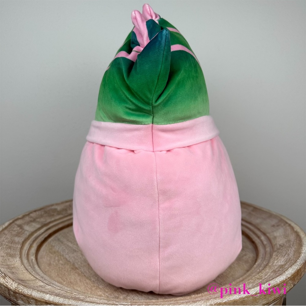 Squishmallows 14” Afiyah the Succulent - Picture 6 of 16